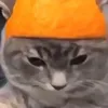 notppashi