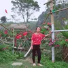 lethitham67