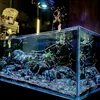 heefish88