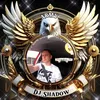 dan_sim9