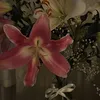 2jo_7