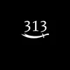 313_tmgg