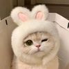 thiscaavv