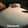 4itrosov