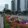 adventurelife69