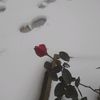 paseyeva_70