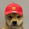 mcchop