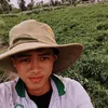 phanbahieu2208