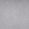 pisces5204