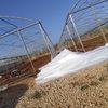 user1889206128700