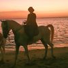 nawal.alshehrii
