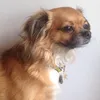 _.bubby._.shrubbie