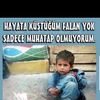 azap.azap