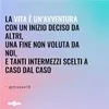 armandodelpiero63829