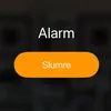 lilvacuuum8