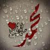 fouadafifi8