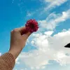 reema.suliman1