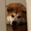 beepbopbeepmop