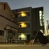userxzgyscf8xe