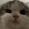 idunlikeyou2