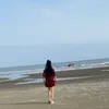 nguyenloan5559