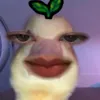 eljhflrg