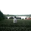 quangthai0502