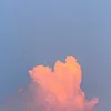 _1_1_9_9