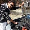 taimoorkhan5701