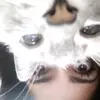 mel_miaw