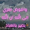 user4304245610383