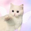 stickerforyourlovee