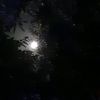 alaa_abu_aleqaa