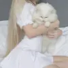 bu._11