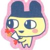 _parae