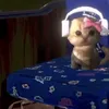 tomnookcefdp
