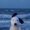 wavetoval