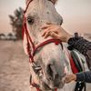 ﮼نوال ﮼العنزي❤️👑 .