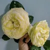 hoangluyen10.23