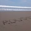rous0214