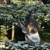 nhobexiu_03