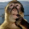 monkeee2121