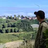 haihoang.90