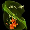 user5957662802213