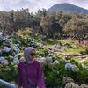 nurlina236