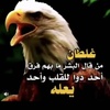 abo_fajr0