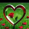 sameer078692