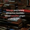 sisiterangbagass