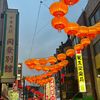 xiaoyuer7