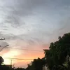 whatever_d01